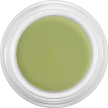 Load image into Gallery viewer, KRYOLAN DERMACOLOR CAMOUFLAGE CREME 4GM
